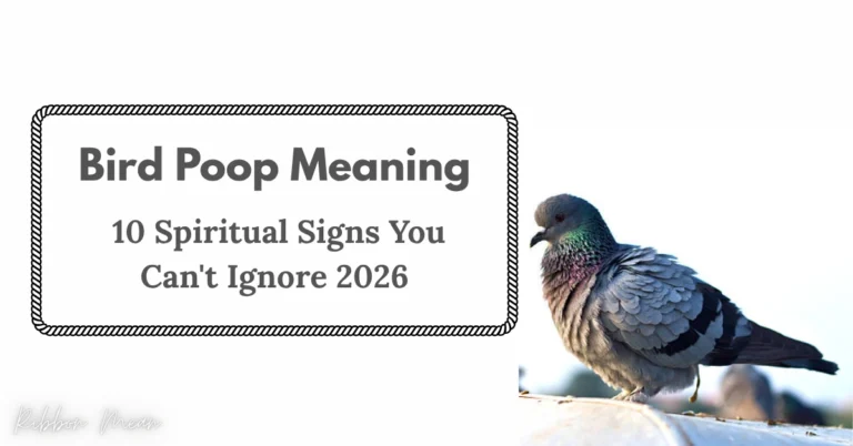 bird-poop-meaning-10-spiritual-signs-you-cant-ignore