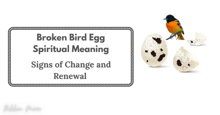 broken-bird-egg-signs-renewal