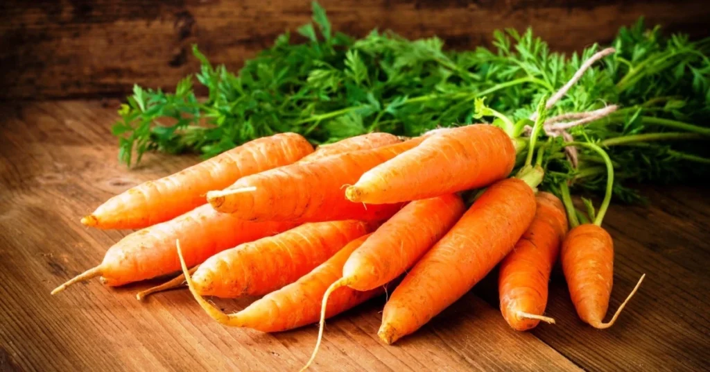 core-spiritual-meanings-of-the-carrot