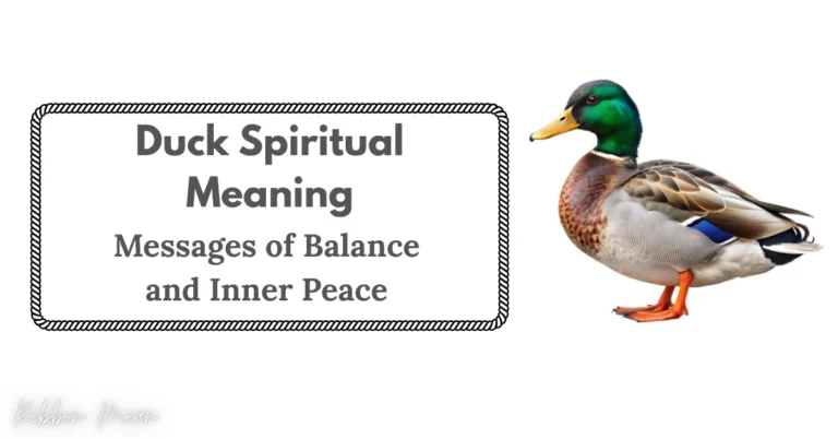 duck-spiritual-meaning-messages-of-balance