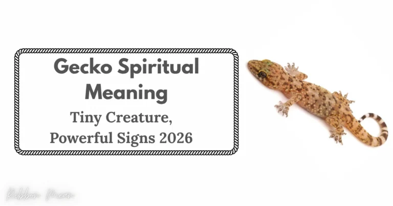 gecko-spiritual-meaning-powerful-signs