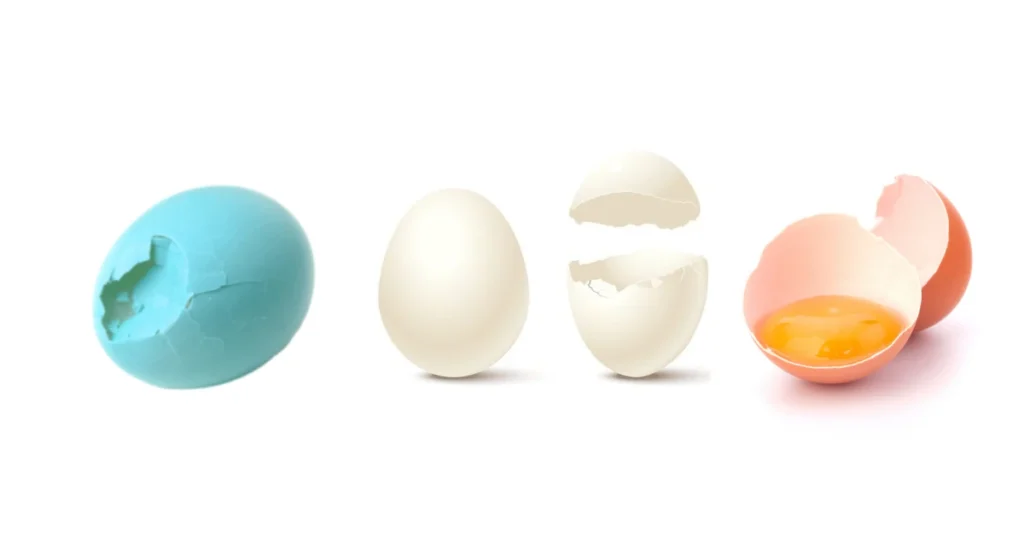 what-the-color-of-the-broken-egg-reveals