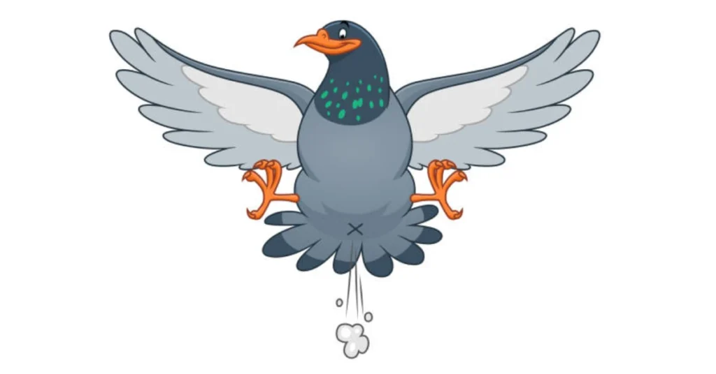 why-bird-poop-is-considered-a-spiritual-sig