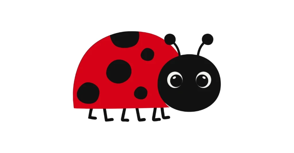 why-the-june-bug-carries-deep-spiritual-meaning