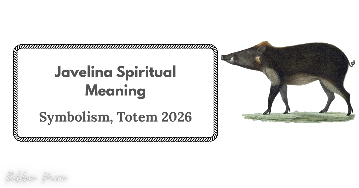 javelina-spiritual-meaning-symbolism-totem