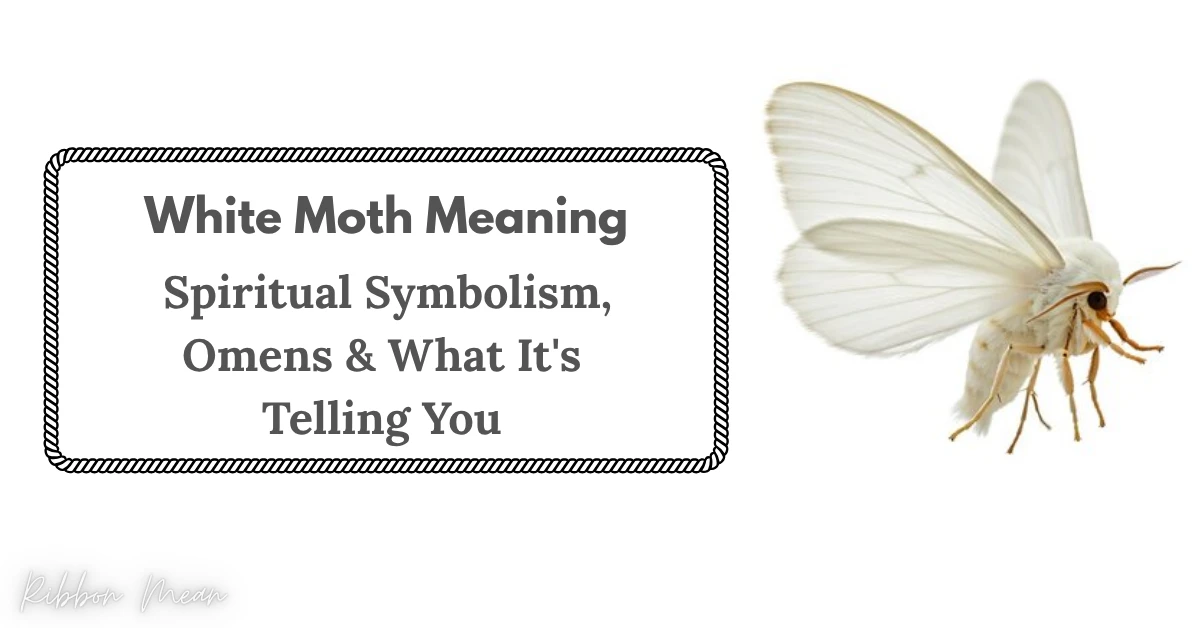 white-moth-meaning