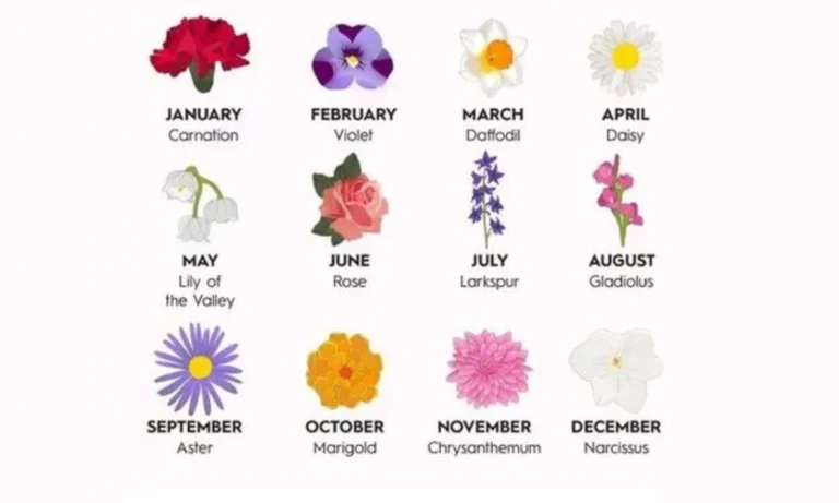 all-birth-month-flowers