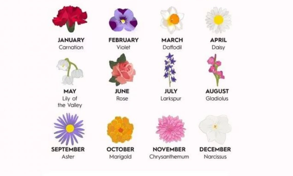 all-birth-month-flowers